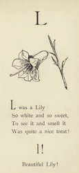 La lettre L